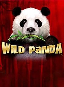 Wild-Panda